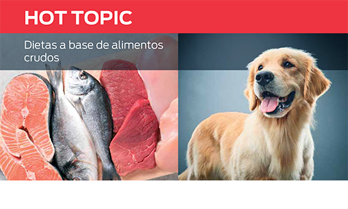 Dietas De Alimentos Crudos