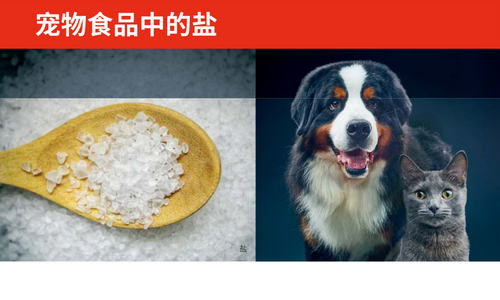 宠物食品中的盐