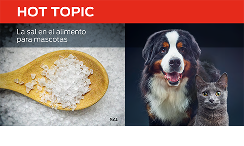 La Sal en El Alimento Para Mascotas
