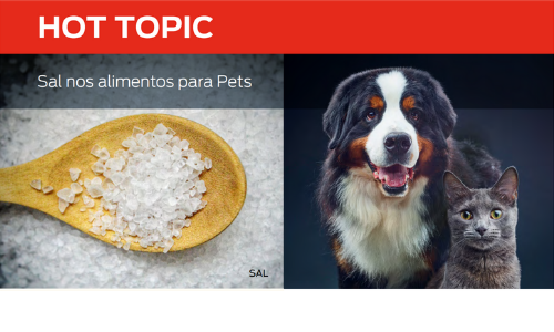 Sal Nos Alimentos Para Pets