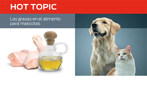 Las grasas en el alimento para mascotas