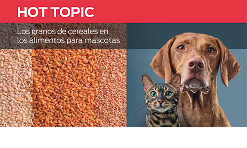 Los Granos De Cereales en Los Alimentos Para Mascotas