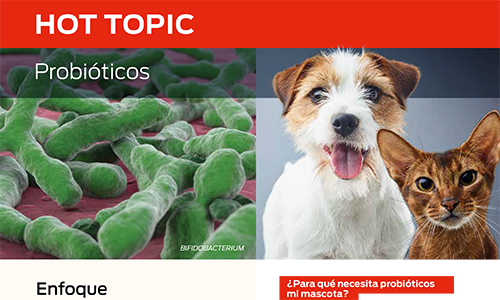Probióticos