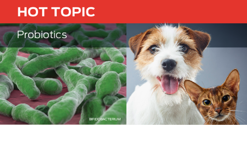 Probiotics