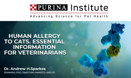 Human Allergy to Cats: Essential Information for Veterinarians