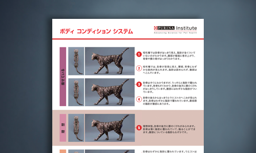 猫用ボディコンディションシステムシート