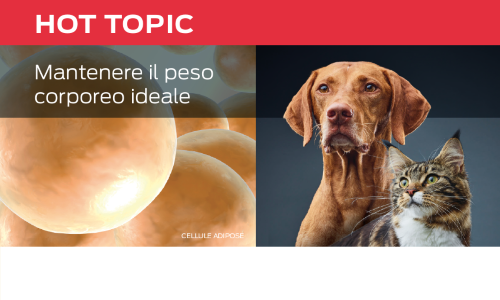 Mantenere il peso corporeo ideale