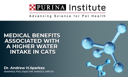 Medical benefits associated with a higher water in-take in cats