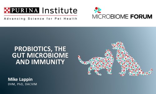Probiotics, the gut microbiome and immunity