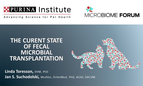 The Current State of Fecal Microbiota Transplantation