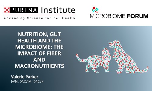 Nutrition, Gut Health and the Microbiome: the Impact of Fiber and Macronutrients