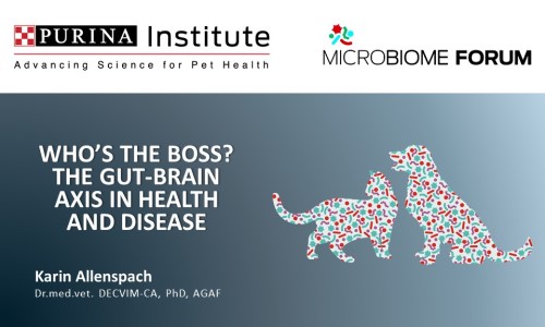 Who’s the boss? The gut-brain axis in health and disease