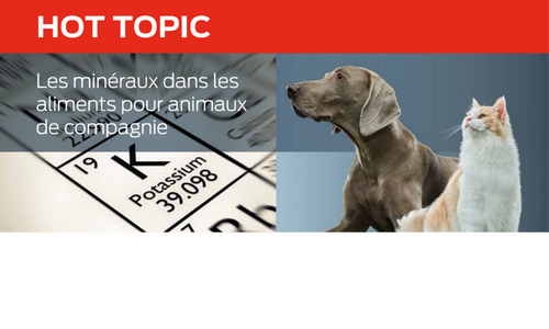 Les Minéraux Dans Les Aliments Pour Animaux De Compagnie