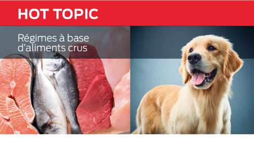 Régimes Alimentaires Crus