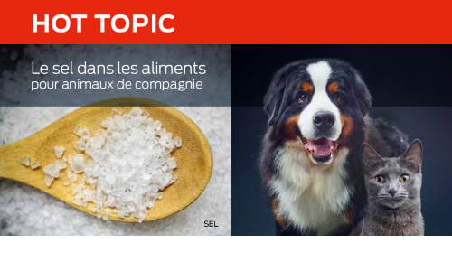 Le Sel Dans Les Aliments Pour Animaux De Compagnie