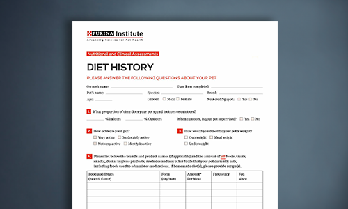 Screening Diet History Form