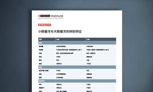 小肠腹泻与大肠腹泻的辨别特征图表