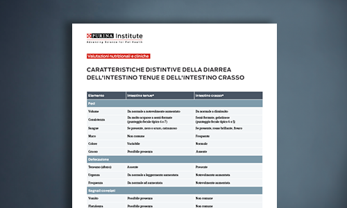 Tabella delle caratteristiche distintive della diarrea dell'intestino tenue e dell'intestino crasso