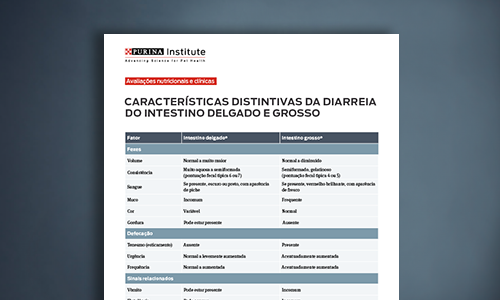Características Distintivas Do Gráfico De Diarreia De Intestino Delgado E Grosso