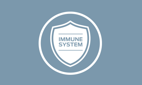 Supporting the Puppy’s Developing Immune System