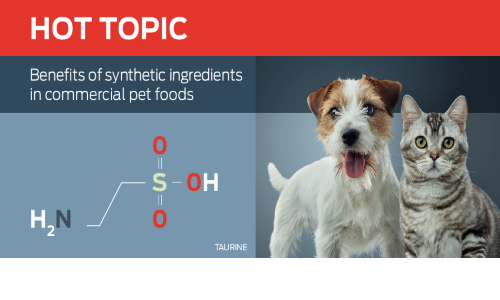 Avantages des ingrédients synthétiques dans les aliments pour animaux de compagnie du commerce