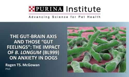 The Gut-Brain Axis and Those "Gut Feelings:" the Impact of B. longum (BL999) on Anxiety in Dogs