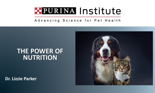 The Power of Nutrition