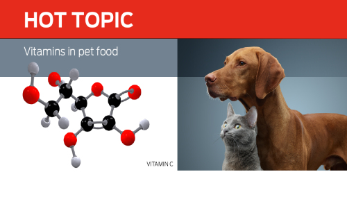 Les Vitamines Dans Les Aliments Pour Animaux De Compagnie